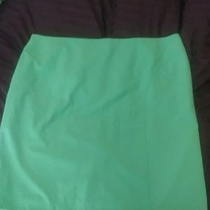 Worthington Skirt 24W